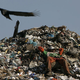 Illustration for article titled Let Plastic2Oil Turn Your Discarded Plastics Into Fuel
